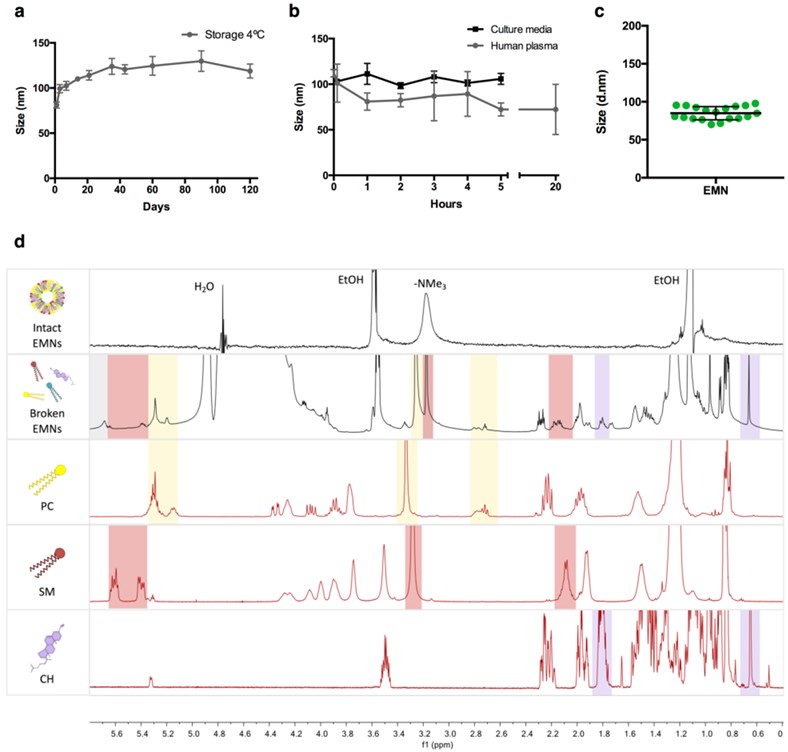 Fig. 1 Lipid-based nanoparticles mimicking exosomes stability detection and characterization. (Vázquez-Ríos, et al., 2019)