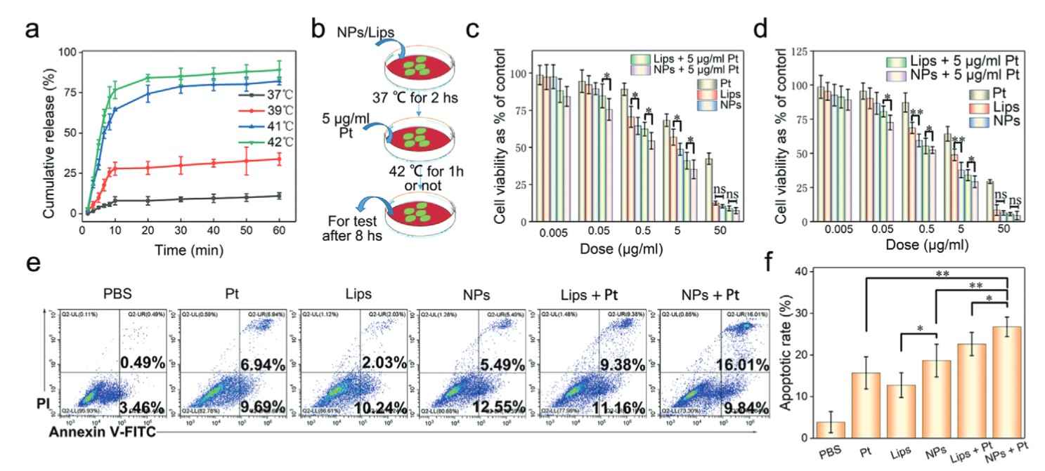 Fig. 1 Exosome-liposome hybrid nanoparticles shows drug release and antitumor potency. (Lv, 2020)