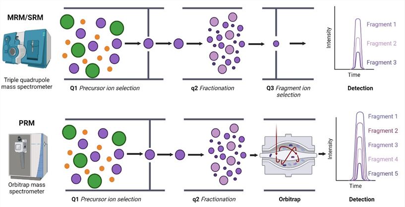 Fig. 1 MRM/PRM Targeted proteomics profiling. (Guerrero, Alberto & Fernando, 2022)