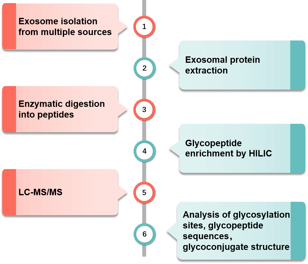 Fig. 2 Service process. (Creative Biolabs Original)