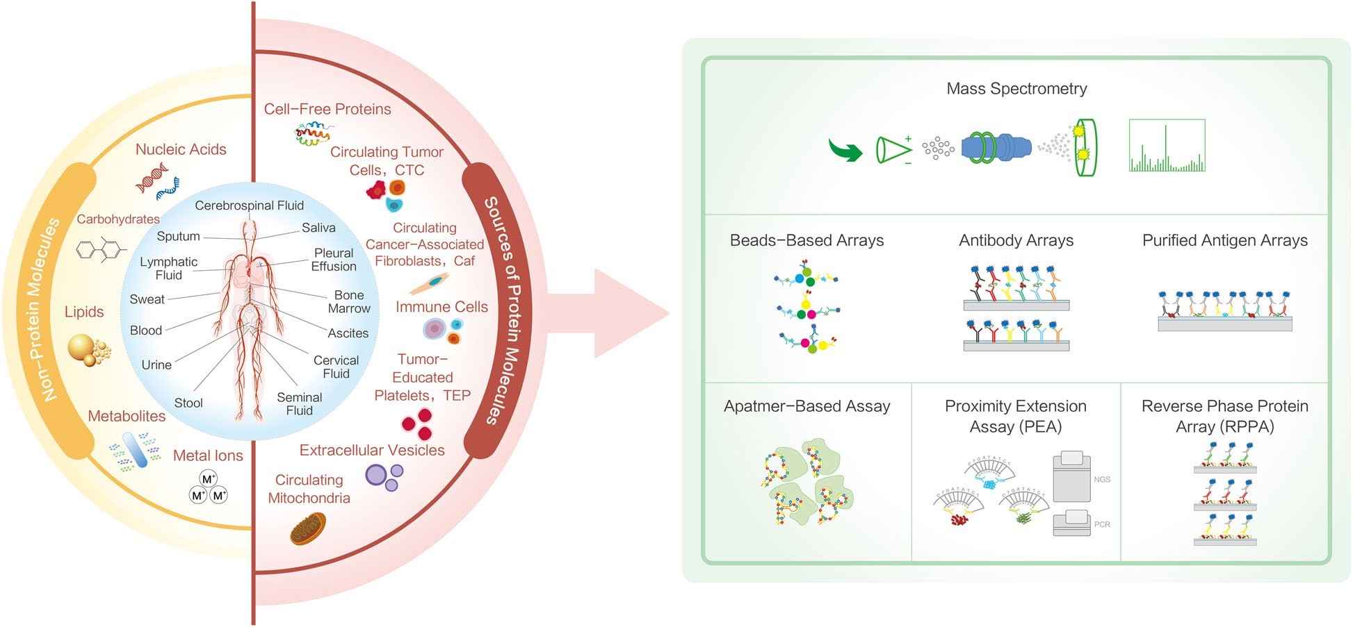 Proteomics and cancer liquid biopsies. (Ding, et al., 2022)