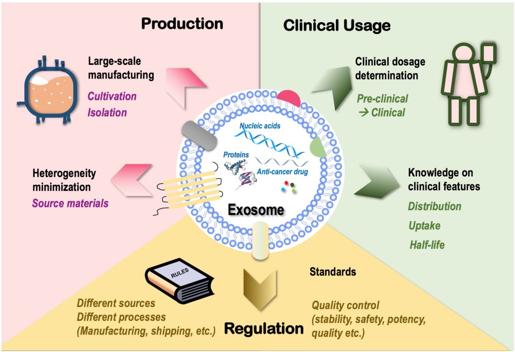 Fig. 2 Challenges in the application of exosomes in different fields. (Dai, Yongju, & Fule He, 2022)