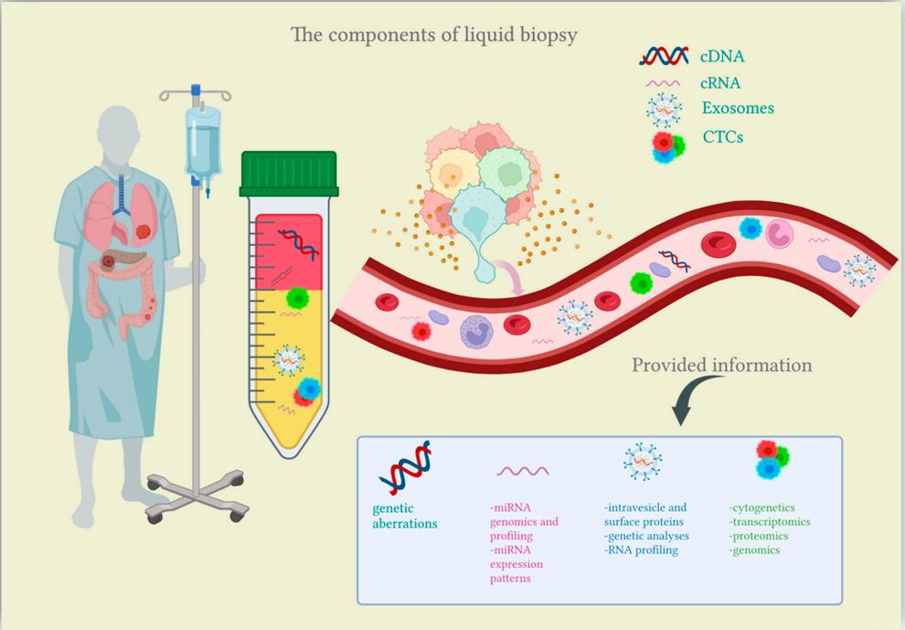 Fig.1 Liquid biopsy. (Galos, et al., 2022)