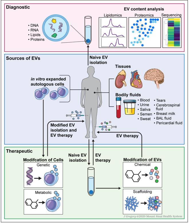 Fig.2 Diagnostic-based EV. (Sahoo, et al., 2021)