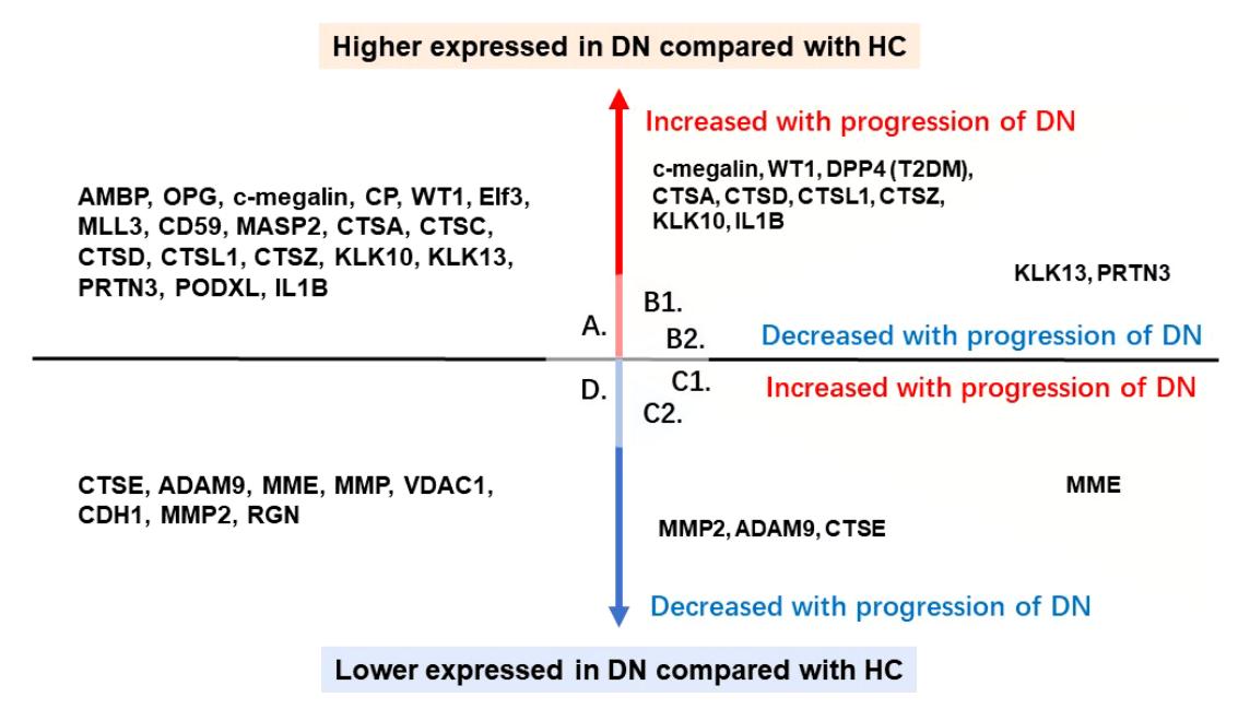 Fig. 2 Significant Urinary EV Proteins (Ding, et al., 2022)