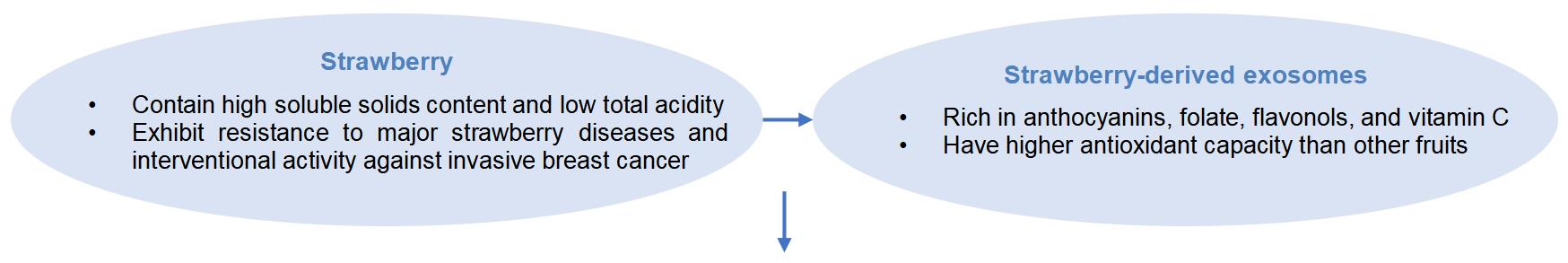 2-6-1-2-strawberry-derived-exosome-3