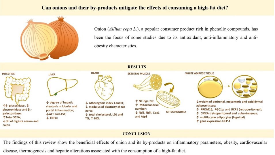 The role of onions and their by-products. (Cordeiro, et al., 2023)