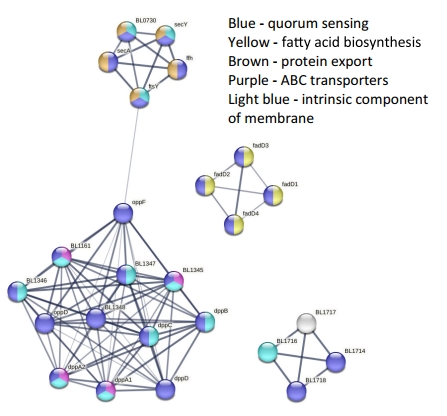 Analysis of quorum sensing proteins in exosomes of Bifidobacterium longum. (Mandelbaum, et al., 2023)