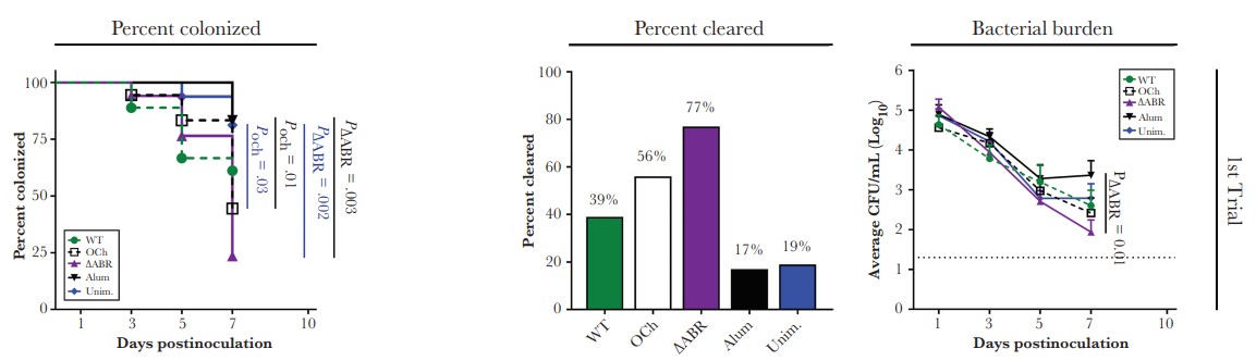 OMP-deficient Neisseria meningitidis-derived exosomes resulted in faster and higher gonococcal clearance