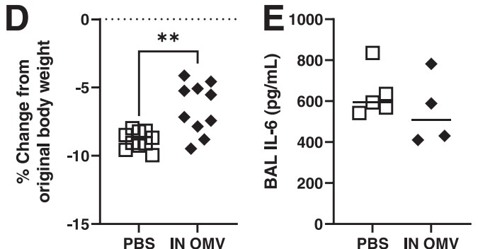 Nasal administration of Acinetobacter baumannii-derived exosomes reduced body weight loss and pro-inflammatory factor levels in mice