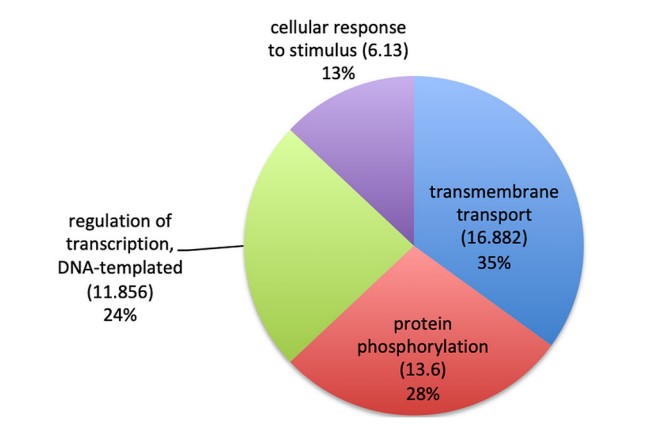 Gene ontology analysis of Histoplasma capsulatum-derived exosomes. (Alves, et al., 2019)