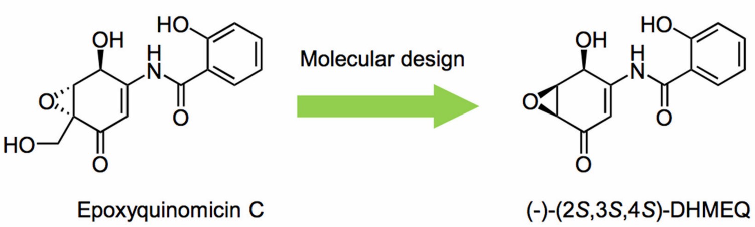 Fig.1 DHMEQ structure. (Ma, et al., 2021)