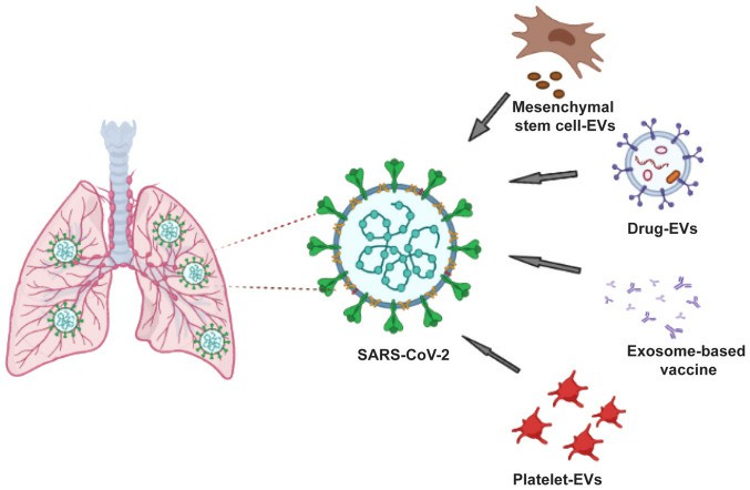 Approaches to exosome‑based vaccine in the management of COVID-19.