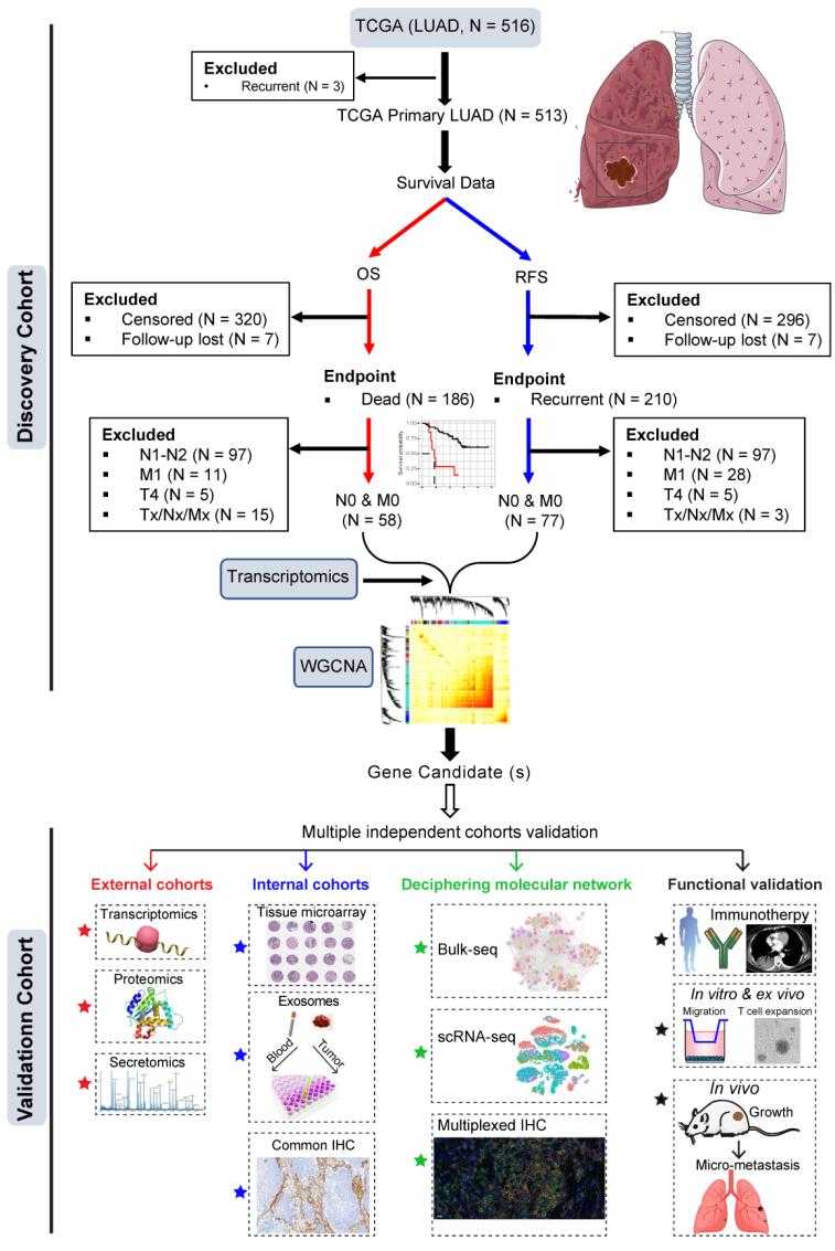 Lung adenocarcinoma tissue exosomes. (Yang, et al., 2022)