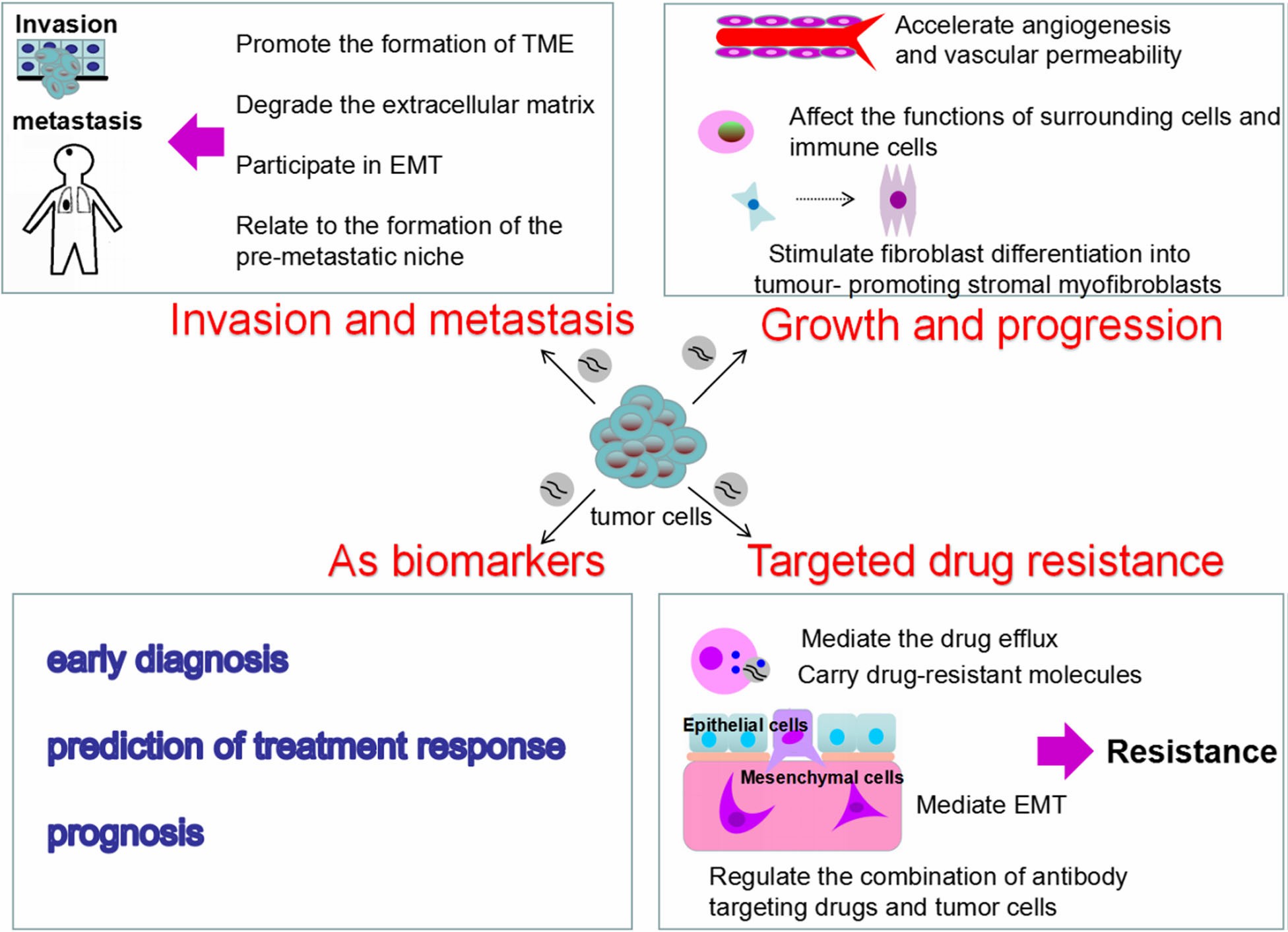 Exosomes in the NSCLC. (Zheng, et al., 2018)