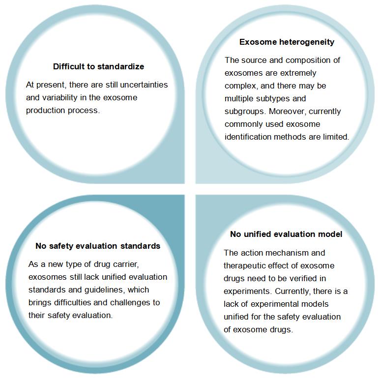 The Safety Evaluation of Candidate Exosome Drug Still Faces Some Challenges