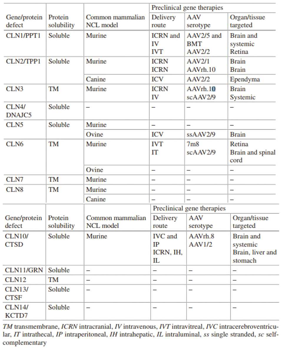 Summary of gene therapy approaches in NCL.