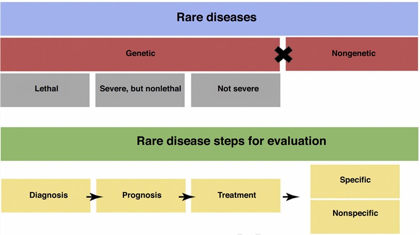 Rare disease stratification and steps for evaluation.