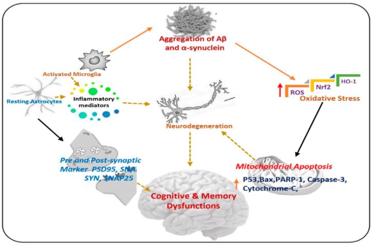 Pathogenesis of Neurodegenerative Diseases