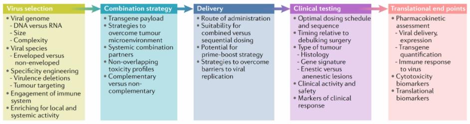 Considerations for OV drug development as part of the immune-oncology toolbox