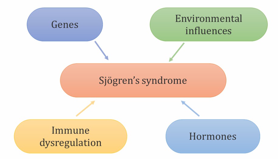 Sj gren s Syndrome Creative Biolabs