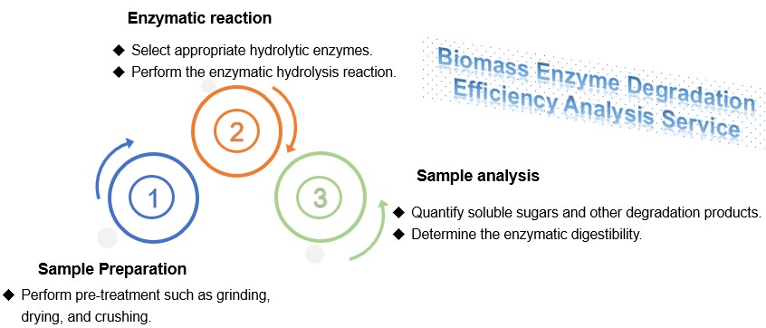 Biomass-based enzyme degradation efficiency analysis service. (Creative Biolabs Original)