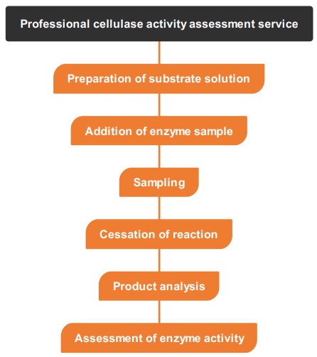 Workflow of complete cellulase activity assessment service. (Creative Biolabs Original)