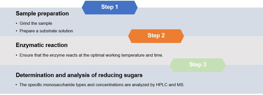 Fig.1 Systematic cellulolytic enzyme activity assessment service. (Creative Biolabs Original)