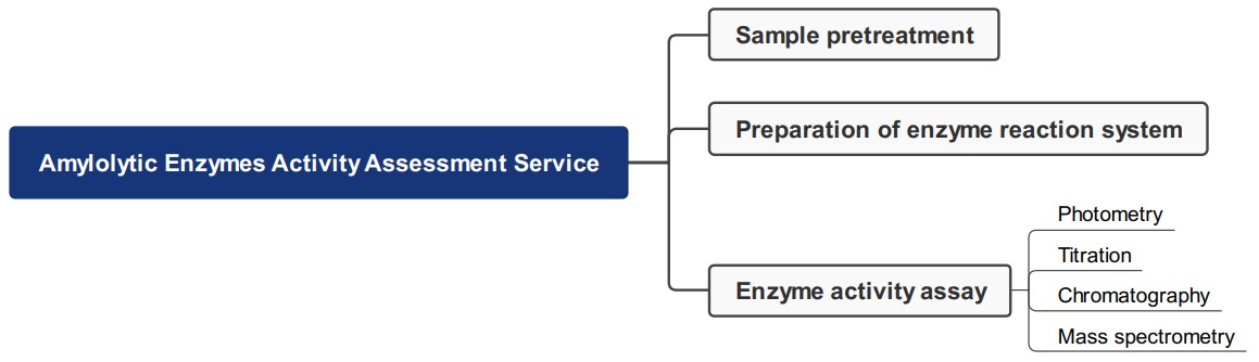 Efficient assessment of amylolytic enzyme activity. (Creative Biolabs Original)