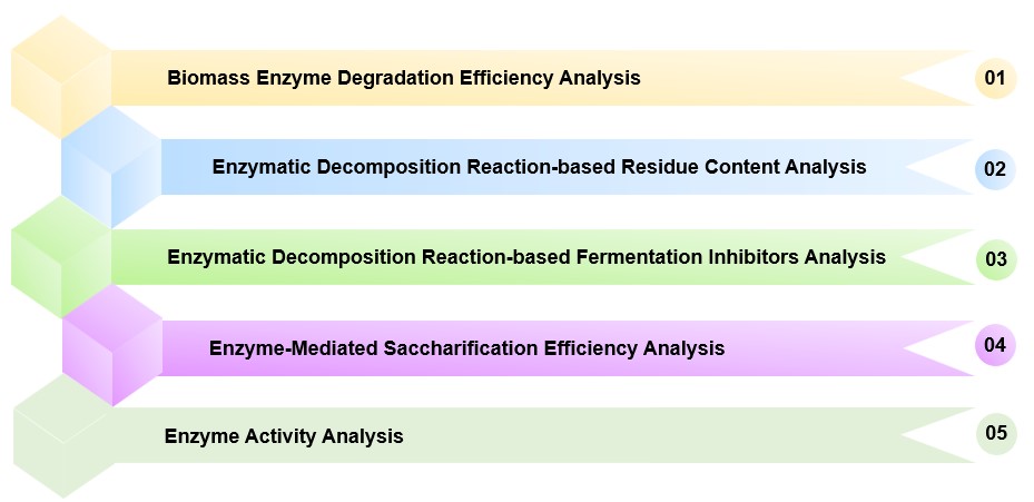 Fig.1 Various enzyme activity analysis services. (Creative Biolabs Original)