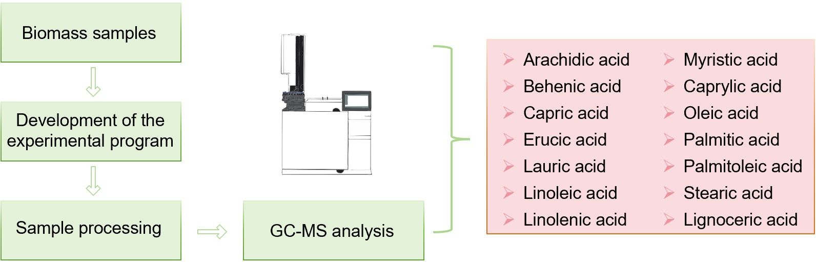 Fig.1 Process for analyzing fatty acids in biomass. (Creative Biolabs Original)