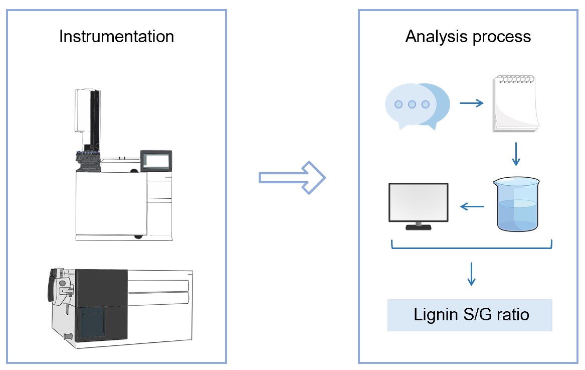 Fig.1 Biomass lignin S/G ratio analysis service. (Creative Biolabs Original)