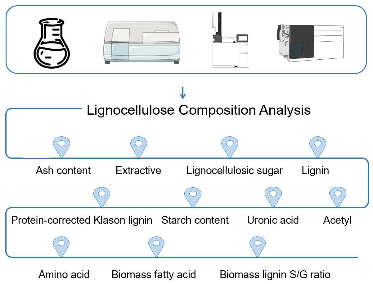 Biomass lignocellulose composition analysis service. (Creative Biolabs Original)