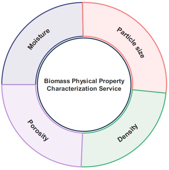 Reliable physical properties analysis in biomass. (Creative Biolabs Original)