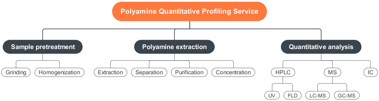 Personalized polyamine analysis service in biomass. (Creative Biolabs Original)