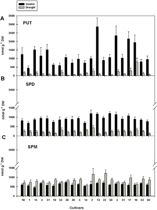 Fig.1 Polyamine content in leaves of 21 rice varieties under different conditions. (Do, et al., 2013)