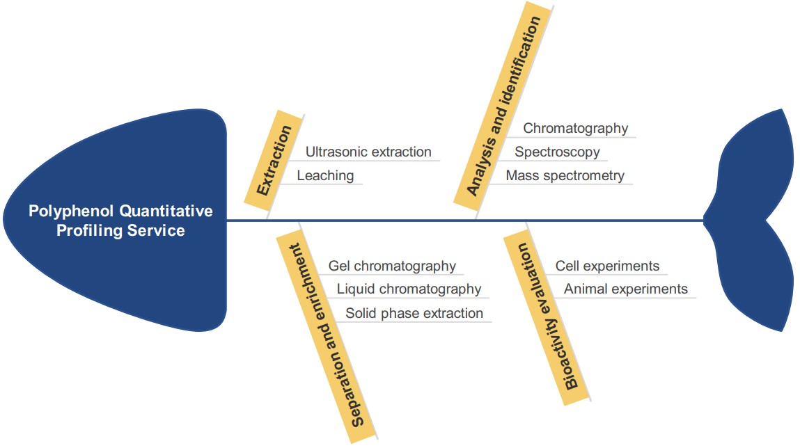 Personalized polyphenol quantitative analysis service. (Creative Biolabs Original)