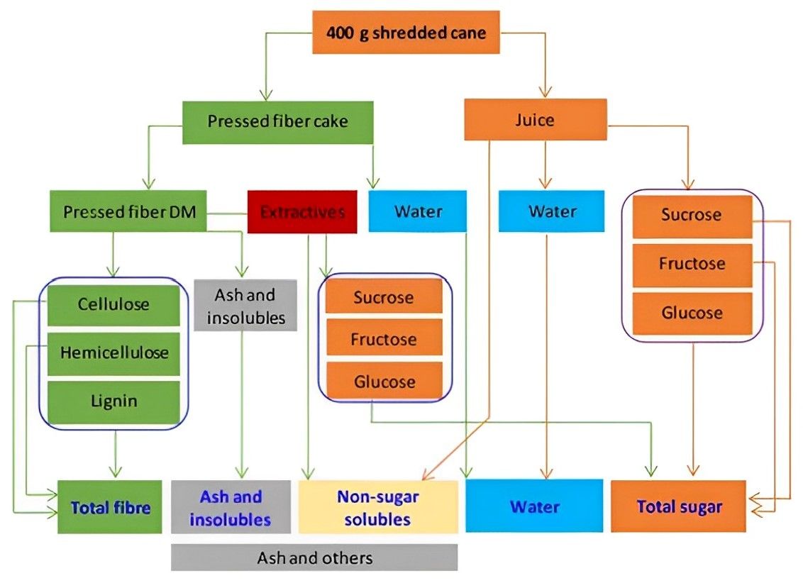 Fig.2 The analysis strategies of sugarcane biomass profiling. (Hoang, et al., 2017)