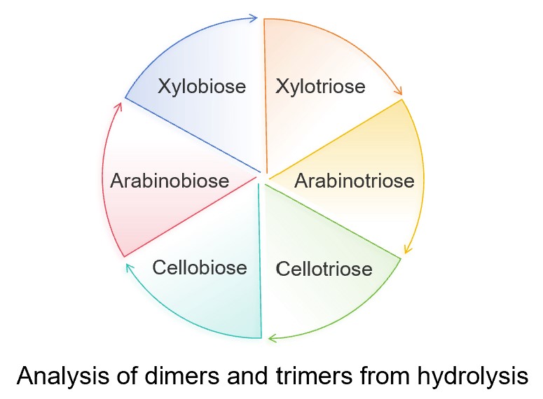 Analysis of dimers and trimers from hydrolysis. (Creative Biolabs Original)