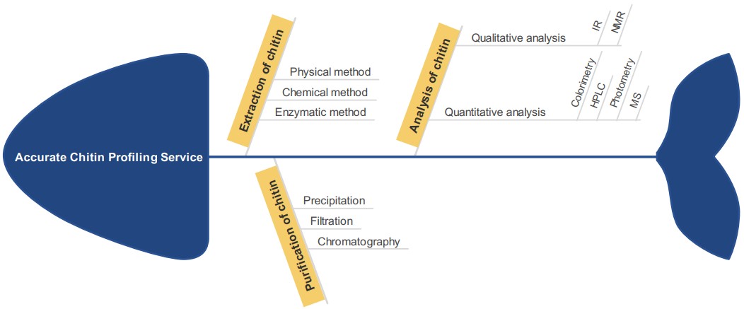 One-stop chitin extraction, purification, and analysis services. (Creative Biolabs Original)