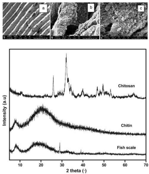 Analysis results of chitin and chitosan extracted from fish scales. (Kumari, et al., 2015)