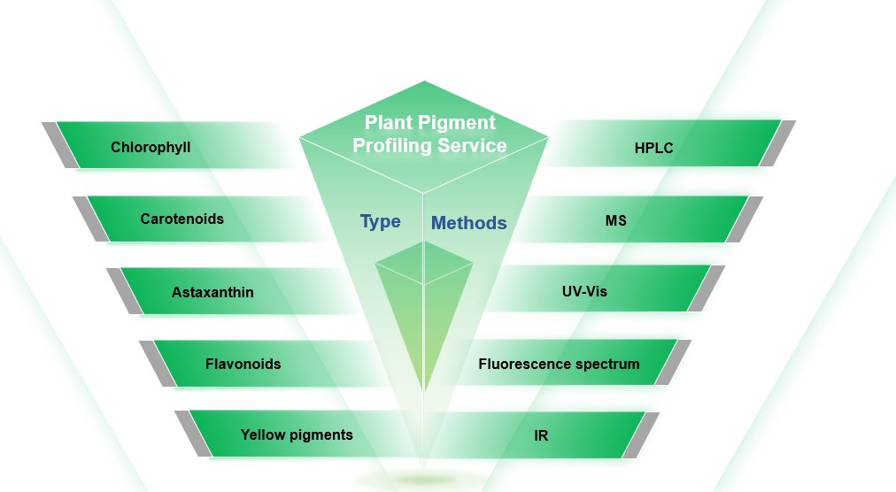 High-quality plant pigment analysis service. (Creative Biolabs Original)