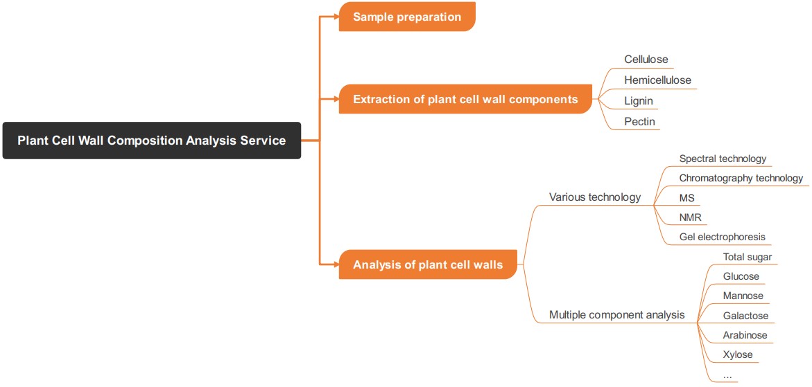 Comprehensive plant cell wall composition analysis service. (Creative Biolabs Original)