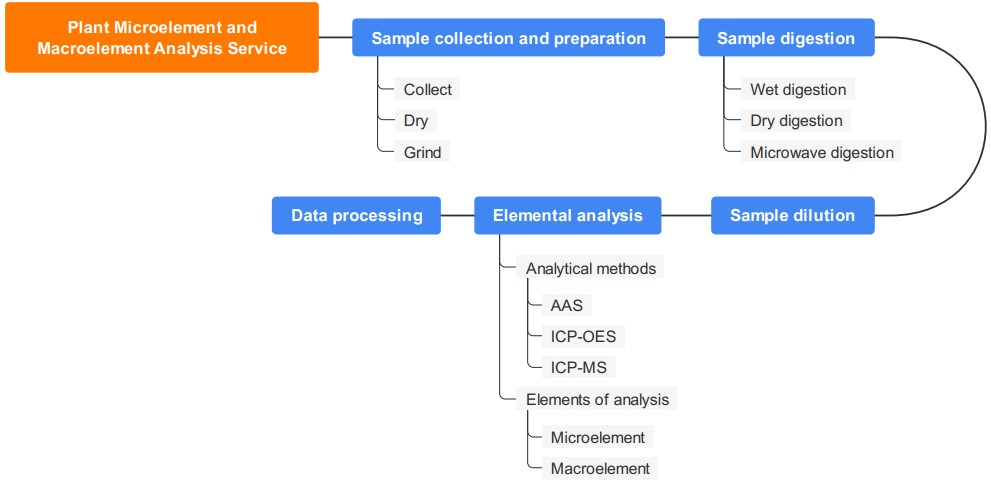 Reliable plant micro and macro element analysis service. (Creative Biolabs Original)