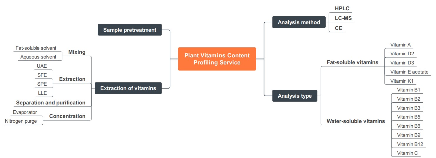 Fig.1 Comprehensive plant vitamins analysis service. (Creative Biolabs Original)