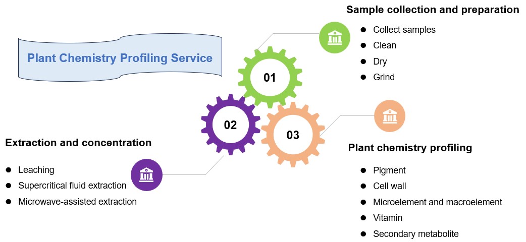 Professional plant chemistry profiling services. (Creative Biolabs Original)