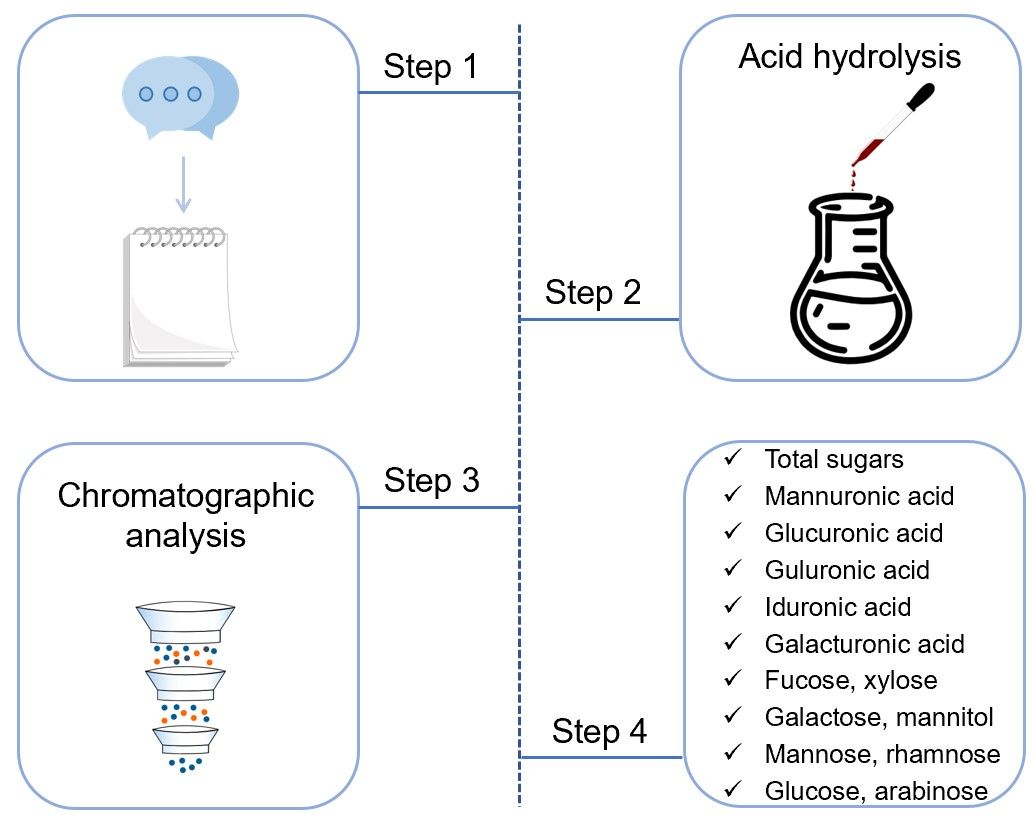 Fig.1 Types and processes of seaweed carbohydrate analysis. (Creative Biolabs Original)