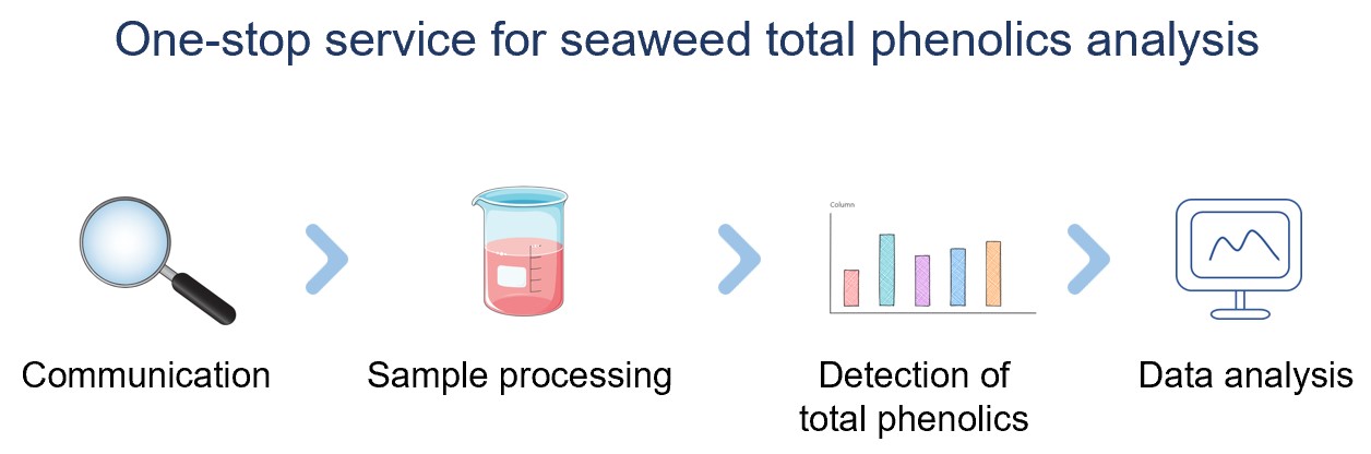 Procedure for analyzing total phenols in seaweed. (Creative Biolabs Original)