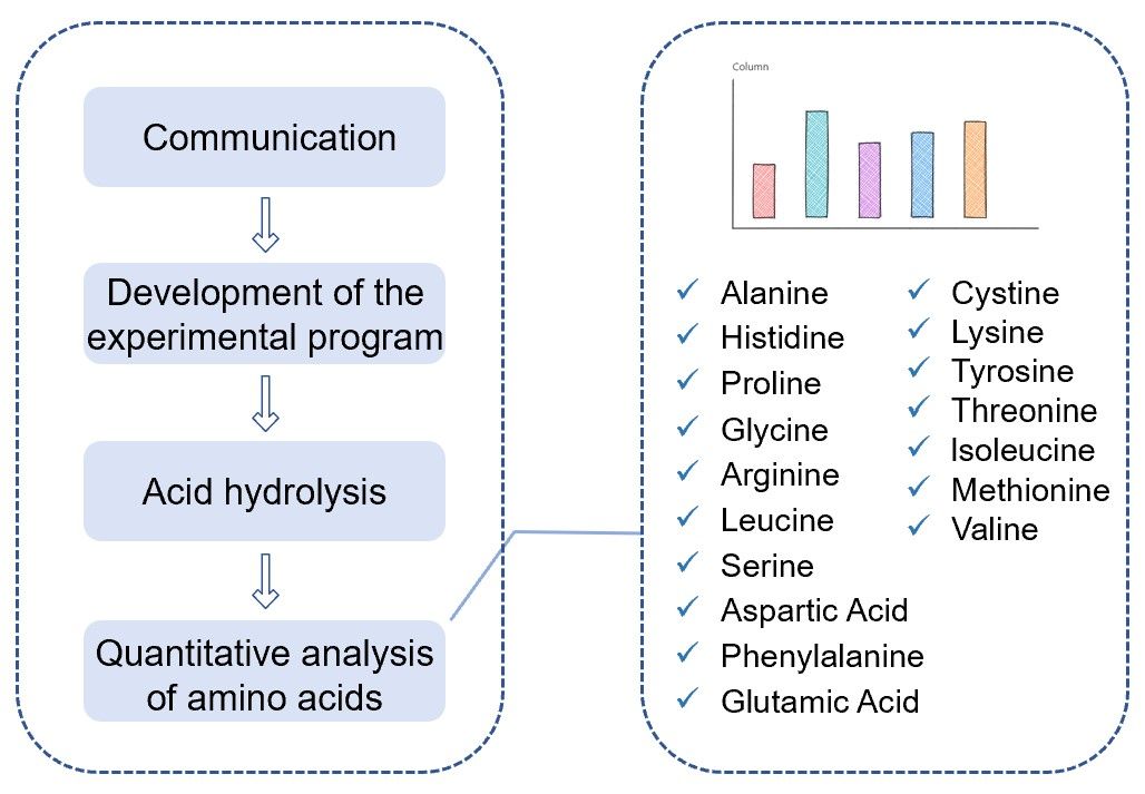 Fig.1 Processes and types of seaweed amino acid analysis. (Creative Biolabs Original)