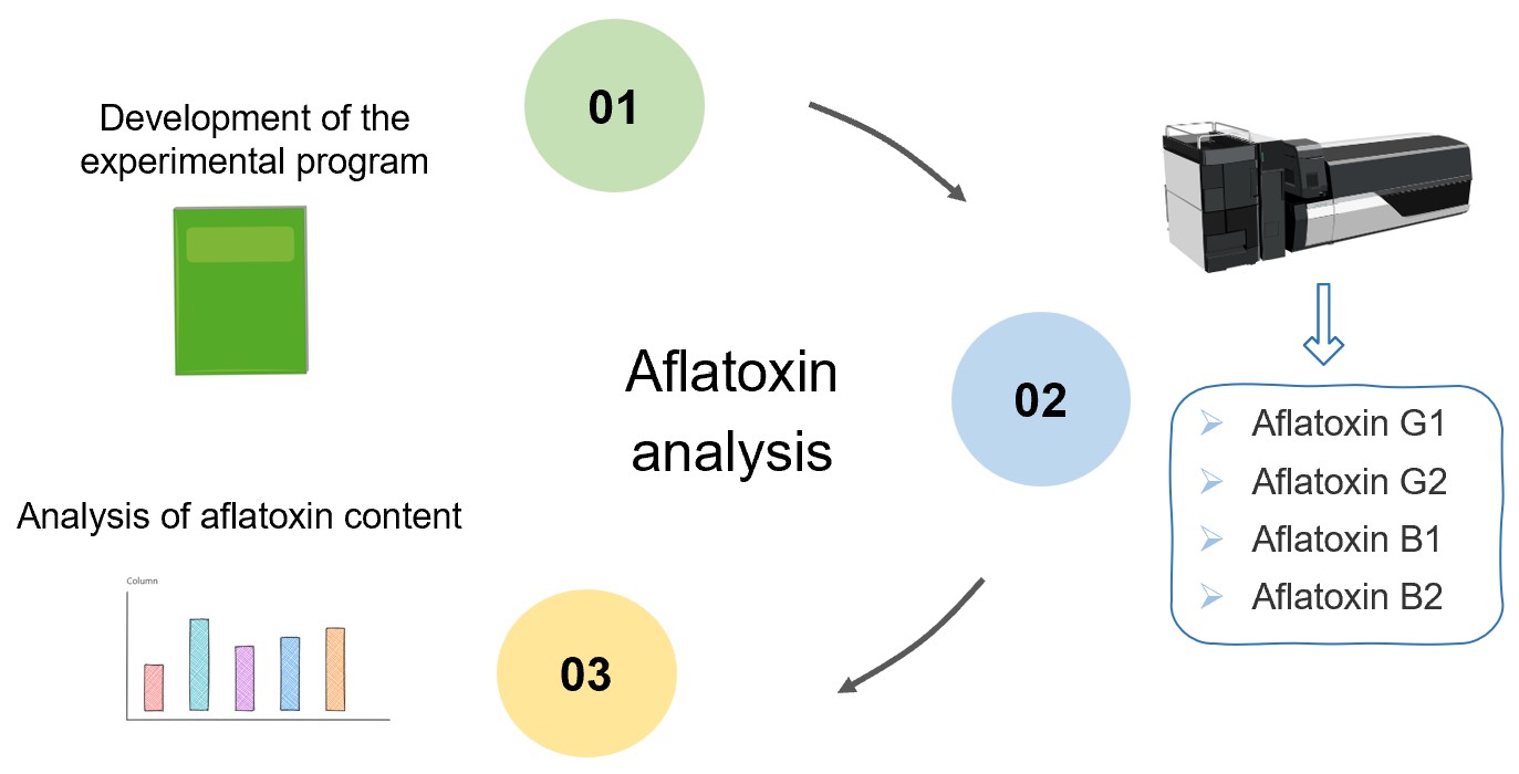 Types and processes of aflatoxin analysis. (Creative Biolabs Original)